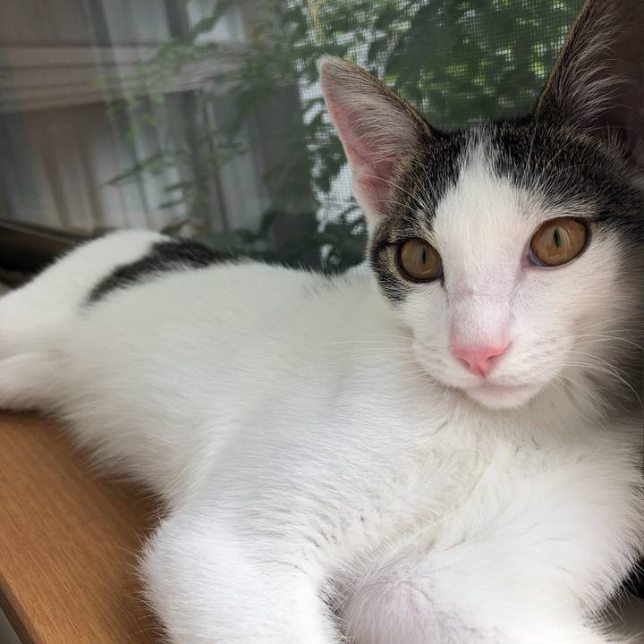 0fb43eaf 7485 4bab a413 a112438689c6 1567582455909