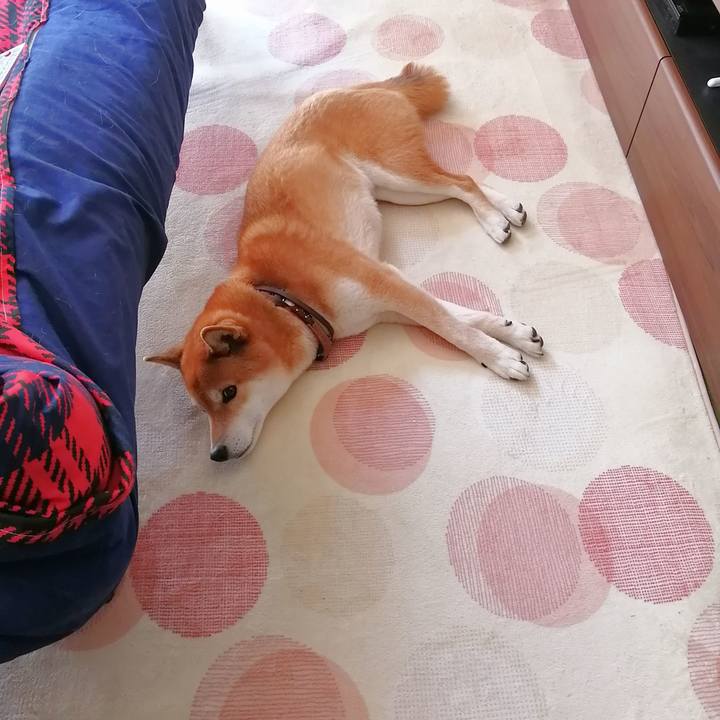 0fb48a90 4a32 4cc5 9e9d 800ecb1902ea 1648864573053