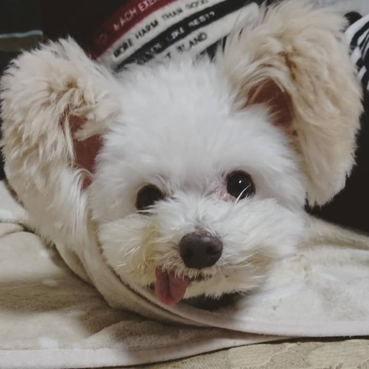 0fb49255 8139 490e b199 82d131085d6a 1576547760997