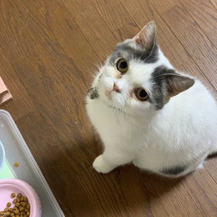 0fb49d97 4b50 4acf 8378 4d8762fe5f11 1762935497511