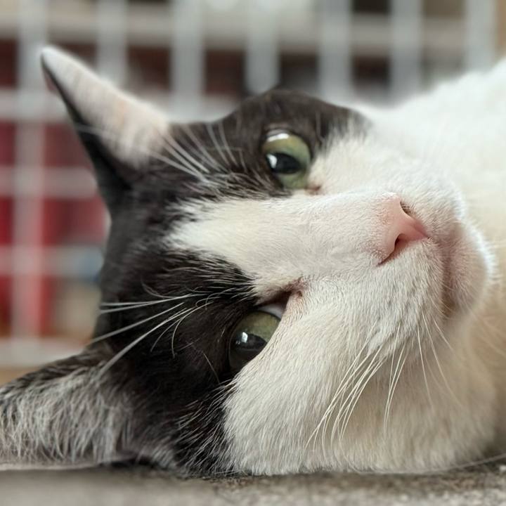 0fb4afc1 e3e1 42e2 b996 ba19e8e7f1fe 1755312337744