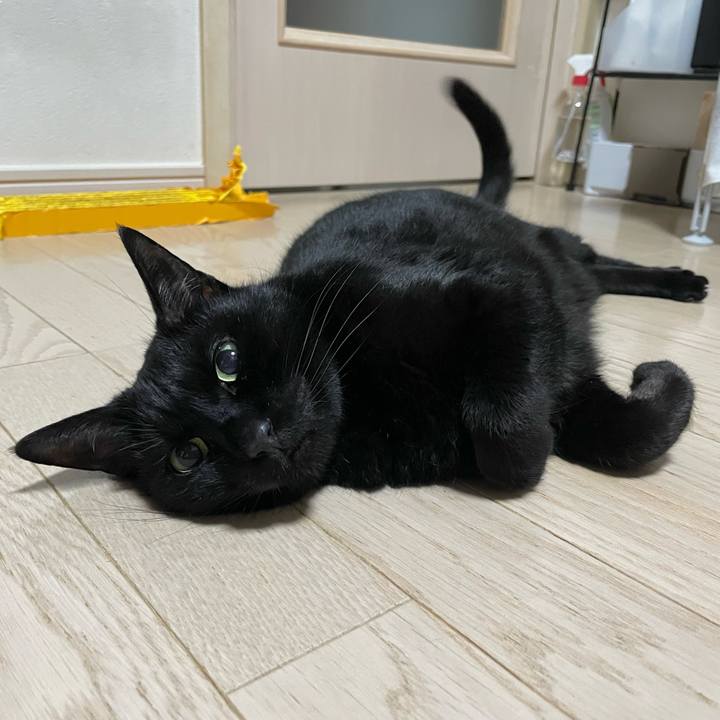 0fb4c8d1 7828 4177 98e1 a4f04020212f 1746708905786