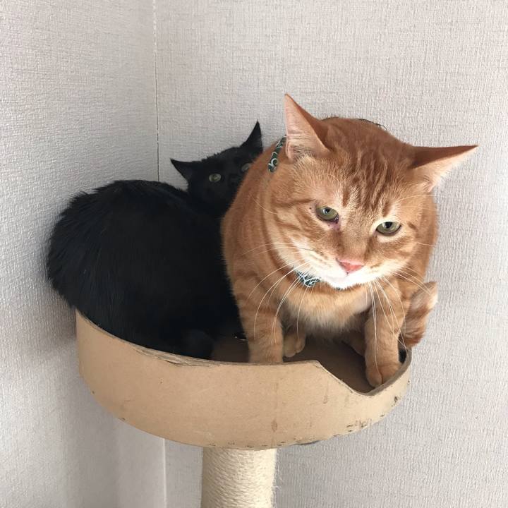 0fb4d29b d9ec 4f09 90eb 3e73e6b49693 1553301490393