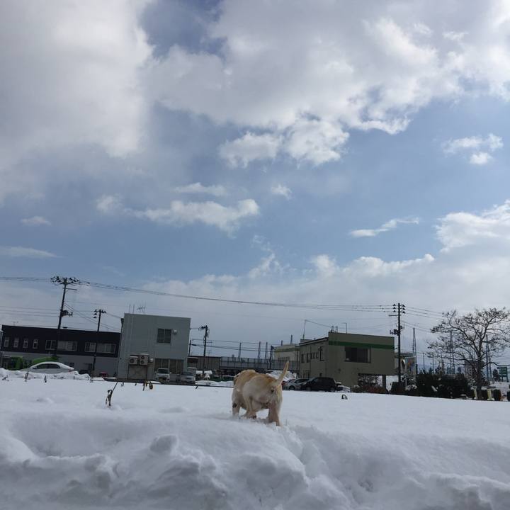 0fb51ed9 08f7 4a14 8003 f5d1c22f1d5d 1516675045390