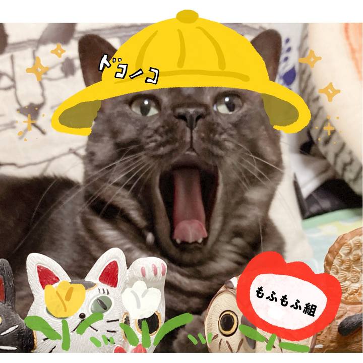 0fb52bb1 9bde 4d28 bd79 e46172cdeed8 1712199509304