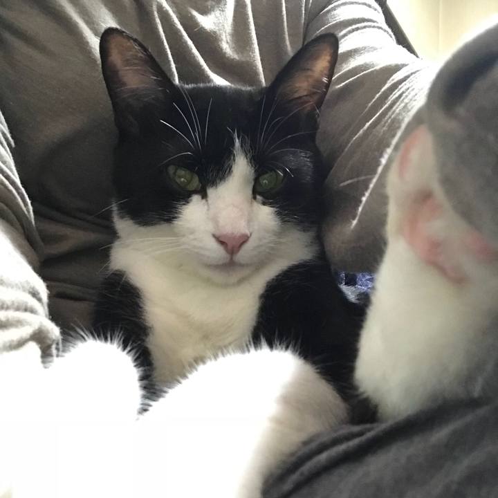 0fb52c4a 18a0 4d85 8465 a6c986e87a8f 1528191392100