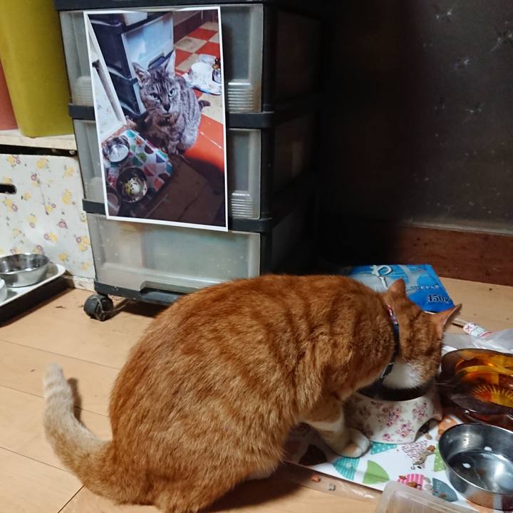 0fb530c4 3922 4e66 8a87 f09fa1eb1cce 1600461400892