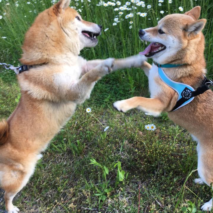 0fb57665 1bfa 410e ba4a 5eaaf7a0c613 1541473937062