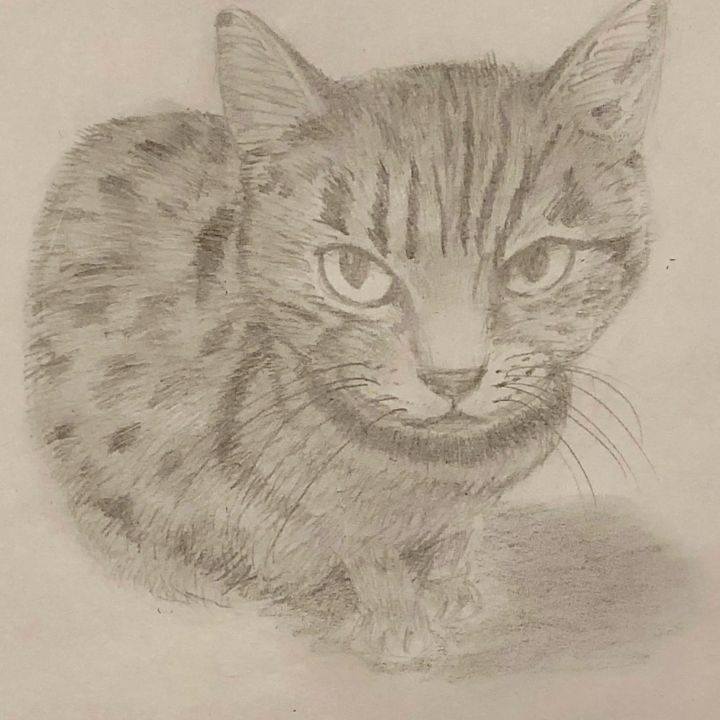 0fb57d59 62b5 4b01 8f10 982ef041ad1d 1630534052427