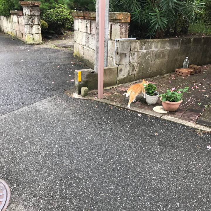 0fb582e9 7227 4934 9946 a5476c8ae57e 1537592859268