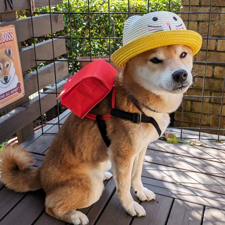 0fb5b57b d408 4830 8f40 9f92211485a0 1711765420638