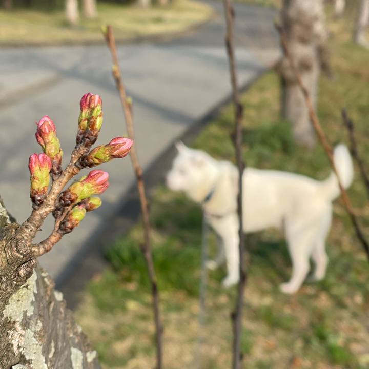 0fb5c476 86c9 483f b6b8 d6c2fe1445e1 1742859207520