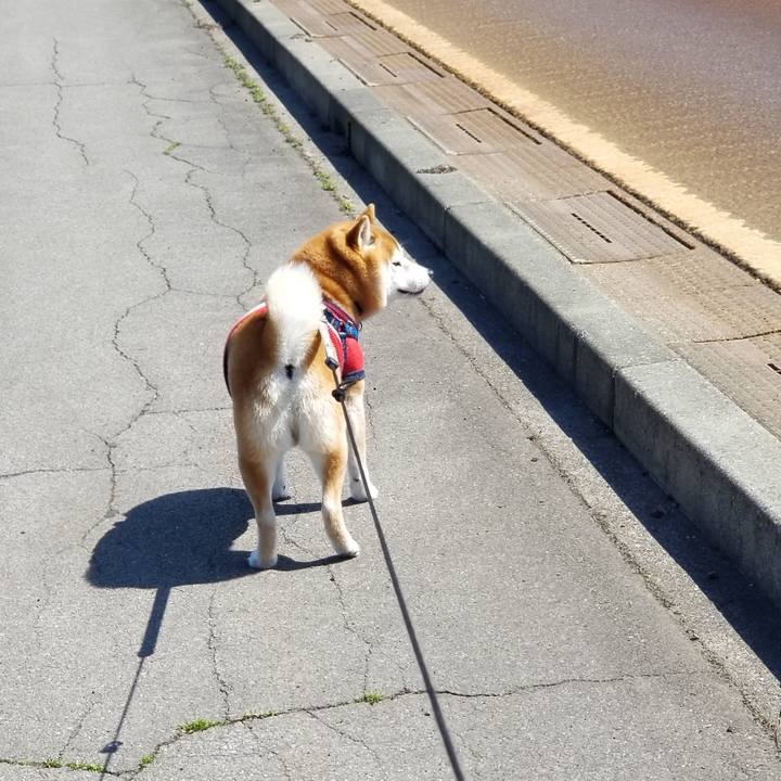 0fb5e8ff b01d 49af 932c 79acf13c0656 1552877531652