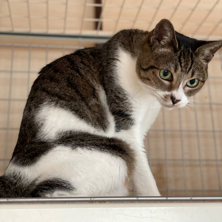 0fb6497c 058d 4849 8446 55b12a1765fc 1641695510182