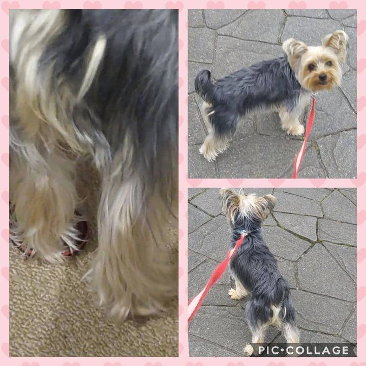 0fb65584 58e5 452a b012 c854e487fe37 1556842524352