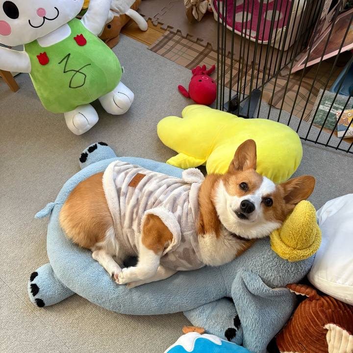 0fb6a062 2bb8 43cb 9005 97e6227ffbfa 1768354396120