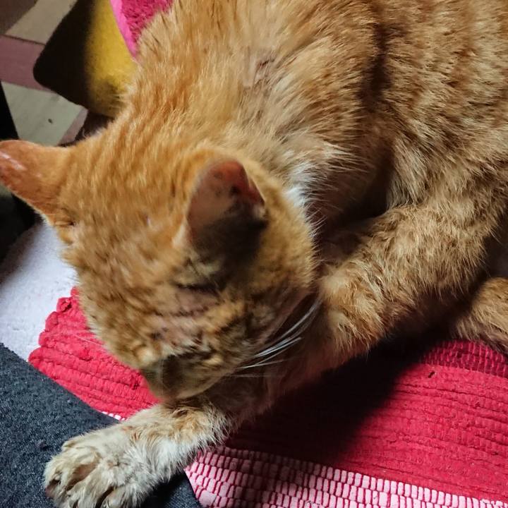 0fb6cec8 b5a5 465c b642 c631ad9974e4 1550919496595