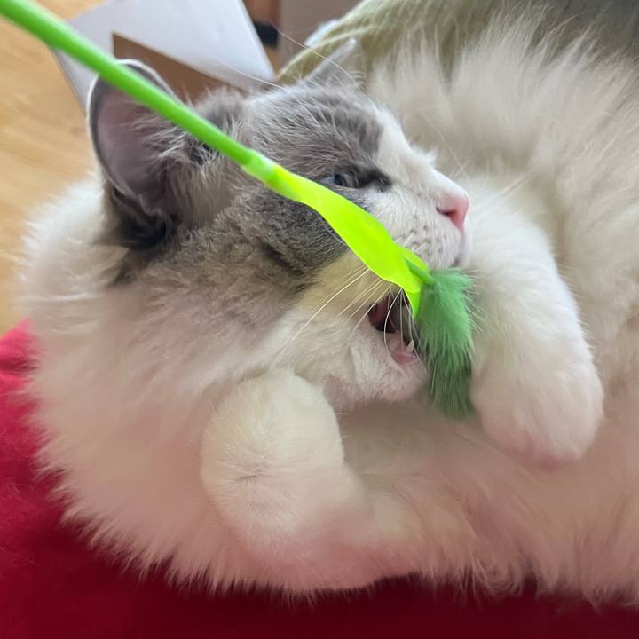 0fb73d6a 9214 482c 8c63 76381ba82886 1650174560870