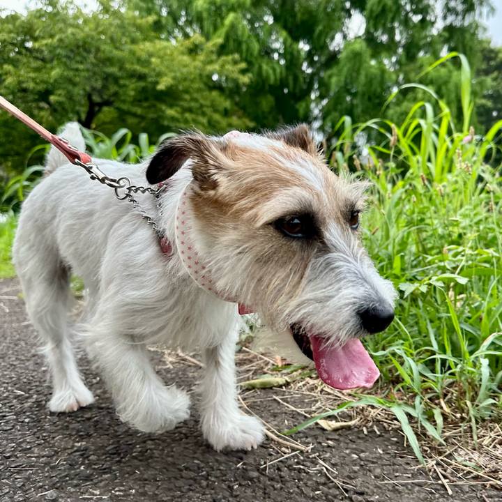 0fb75bd3 4a35 4bde 9d13 acf1c66768a6 1689465734286