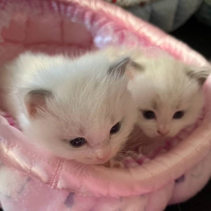 0fb7d253 052b 4b19 a9b2 71fbf7480f73 1749980747046