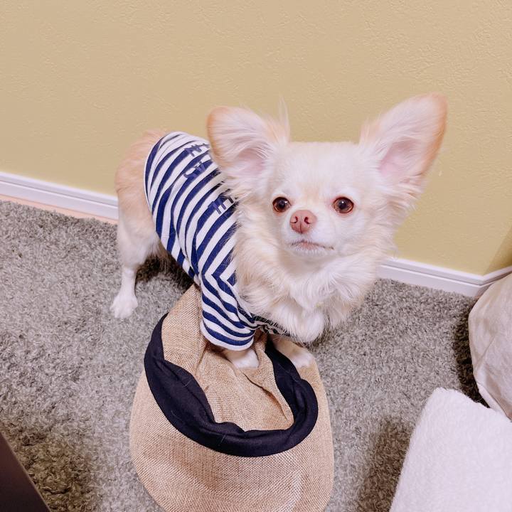 0fb7e933 788e 42ee 9557 862a44235a61 1682421289638