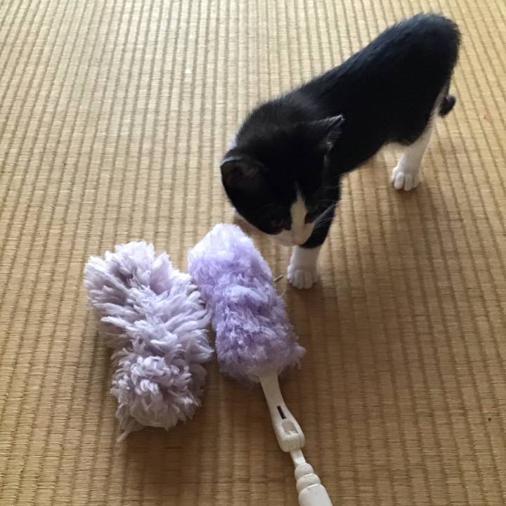 0fb85026 76b6 4df3 9983 0374299f6abb 1625274281699