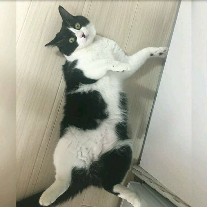 0fb8623f 313a 4168 9a00 1345b236b3d3 1558790904732