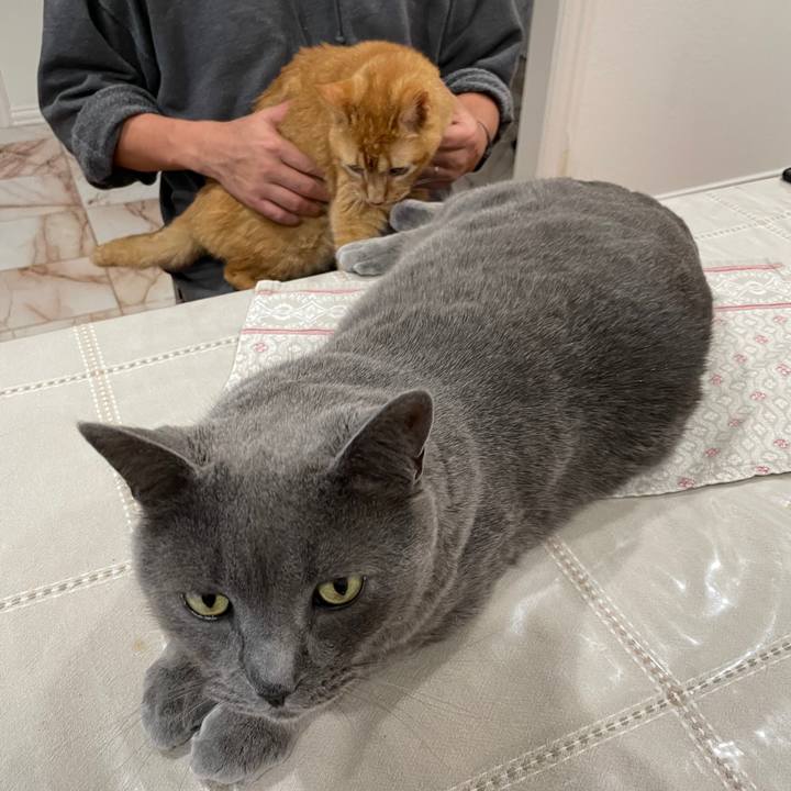 0fb885b3 9b7d 47c1 af17 7a2667614984 1769476746234