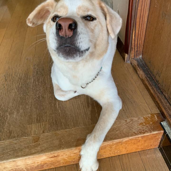 0fb8aced 805a 4fb2 9506 8a7e5048705d 1564105485065