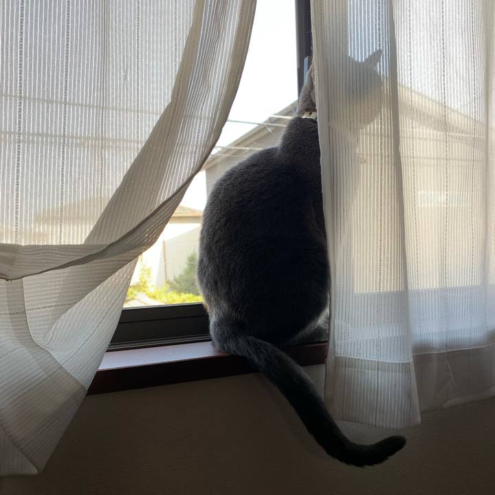 0fb8b2a3 b178 4b93 8eeb ab5591644fd0 1649311966101