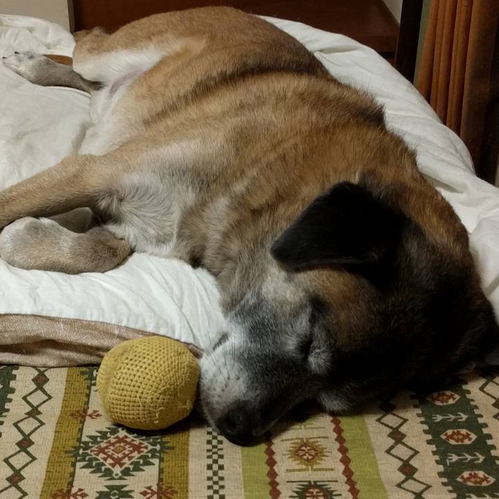 0fb8d0e6 a03d 4532 85cd 06b8989c2236 1510297987704