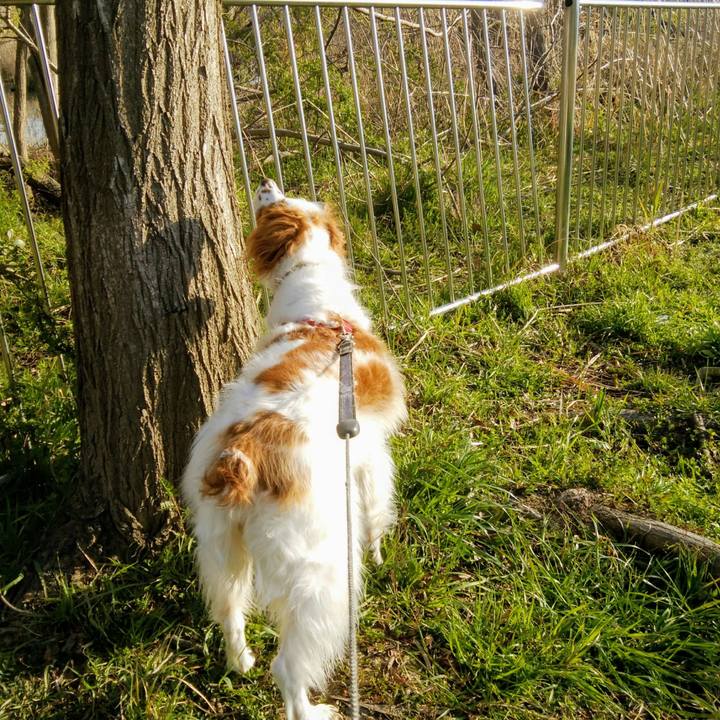 0fb8e883 eb29 4435 9b09 0b8a6a17a19b 1554423786876