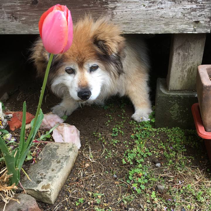 0fb9002a 76a3 40c0 a89e 6a06c5c6adaf 1556669805866