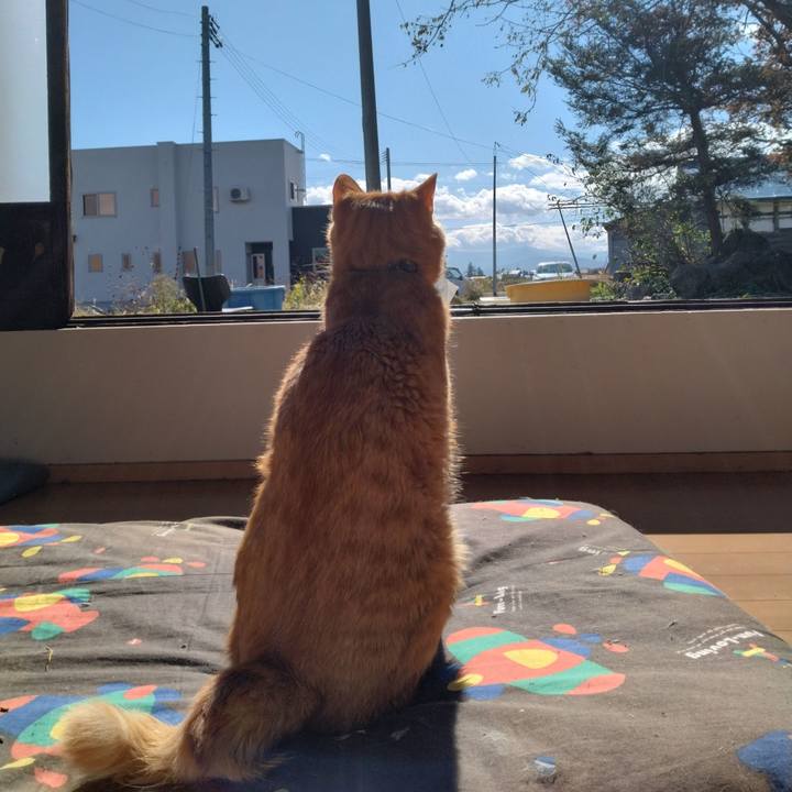 0fb92d87 b81c 4a8c 94e5 8119fb4a223c 1667701349168