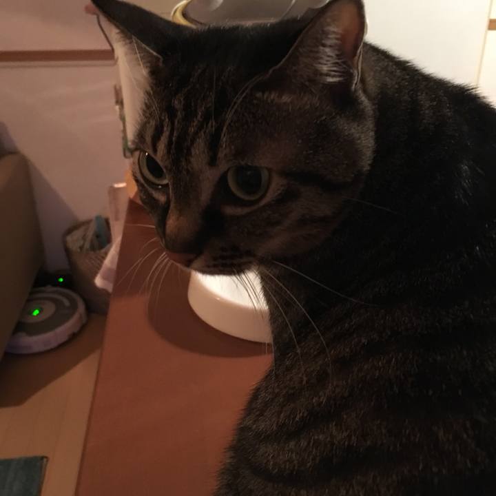 0fb95b55 b486 4675 b7e4 7a5222c8c054 1550059340034