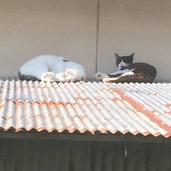 0fb967e1 78b8 4714 8d00 81e356248c11 1656626802396