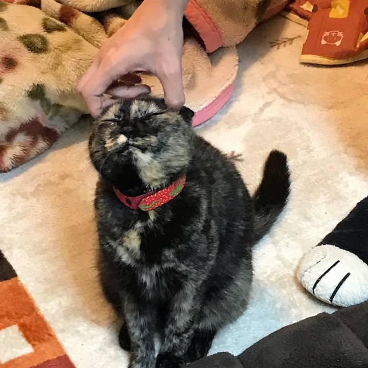 0fb968a8 e76b 45b1 a6e6 c37f867e1f56 1555675105849