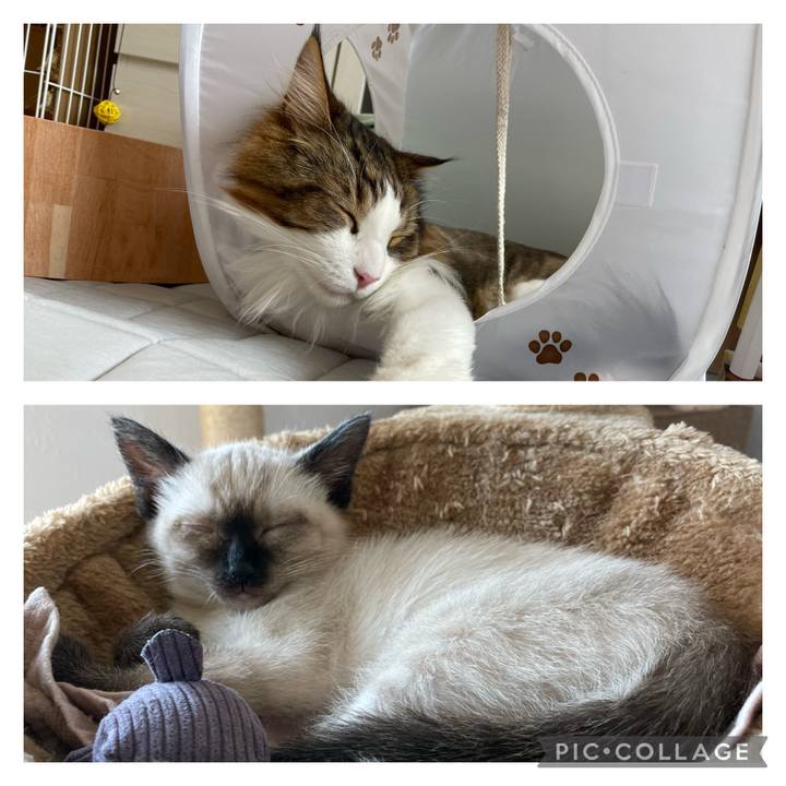 0fb97410 cb98 4acc 84b6 efd8831774b6 1688875415864