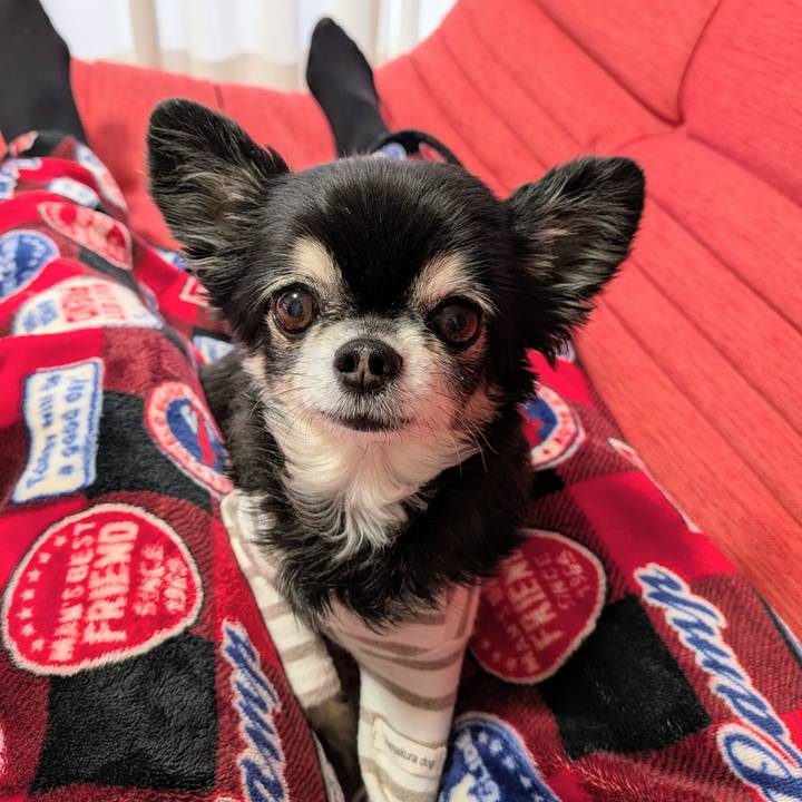 0fb98d88 5a52 4f65 bc43 2b859e386653 1773352760300