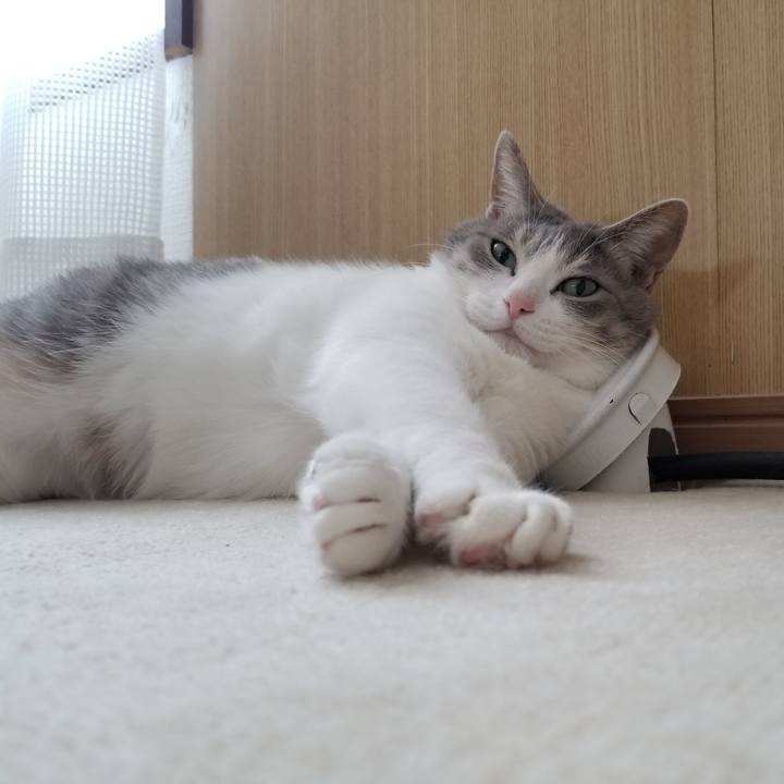 0fb99fd6 b179 4240 81f8 3eb8d2689ca0 1643284596768