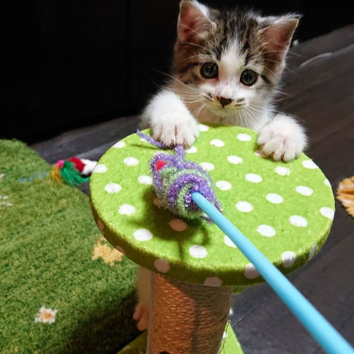 0fb9b655 d6ee 4539 bb93 217dc067c8f8 1539129358816