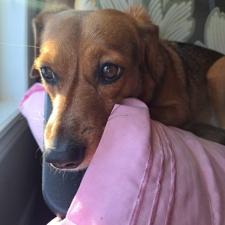 0fba0ccd 6906 480b a87e 424a0bc636d7 1769262843956