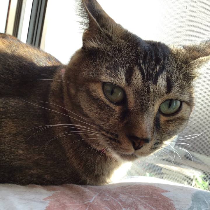 0fba1461 3ffe 4fbb a5bf 958e7433f4b2 1634271852357