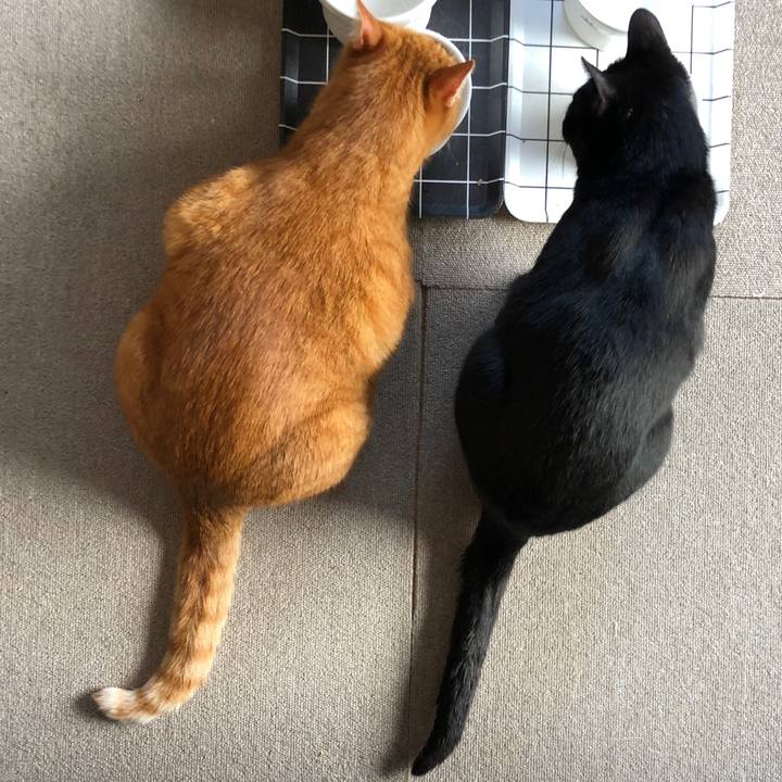 0fba1fb8 8faa 46ca be7e 6239a9d18ef4 1680922826407