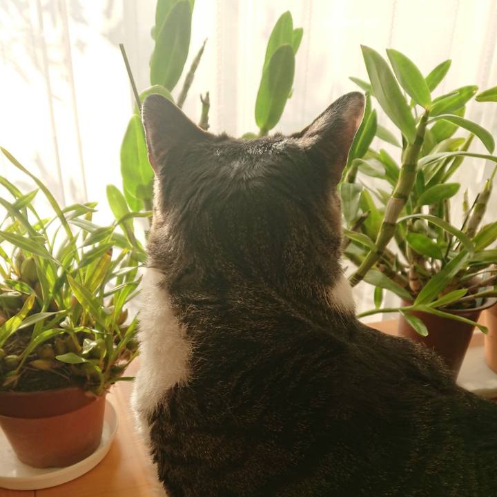 0fba2957 d2af 478a 90ac d25fd0405f94 1520891172657