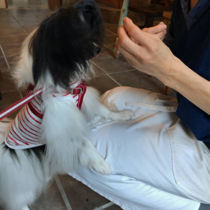 0fba3db6 2583 48ae a003 2cb56e94f835 1531568475515