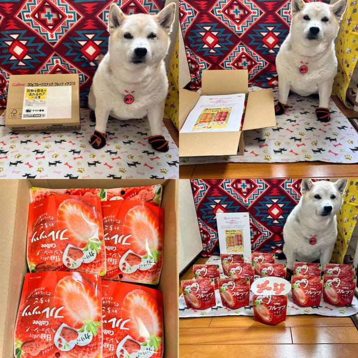 0fbaccfe 3834 4996 bee6 16b4eade7ad6 1738901577077