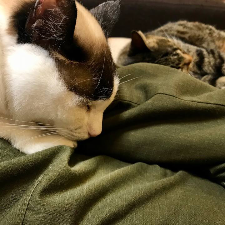 0fbaeb40 c263 4e83 977c 9df54546f6c2 1585985799842