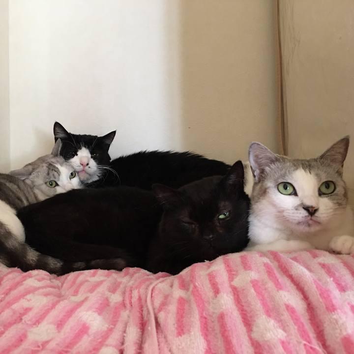 0fbb252a 514d 4b37 92db a3bbb223740c 1582885331405