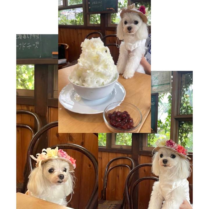 0fbb5a3f 976e 4387 956b 3f21bb9eef00 1661340568034